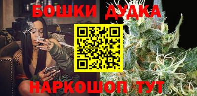 МДПВ Лесосибирск