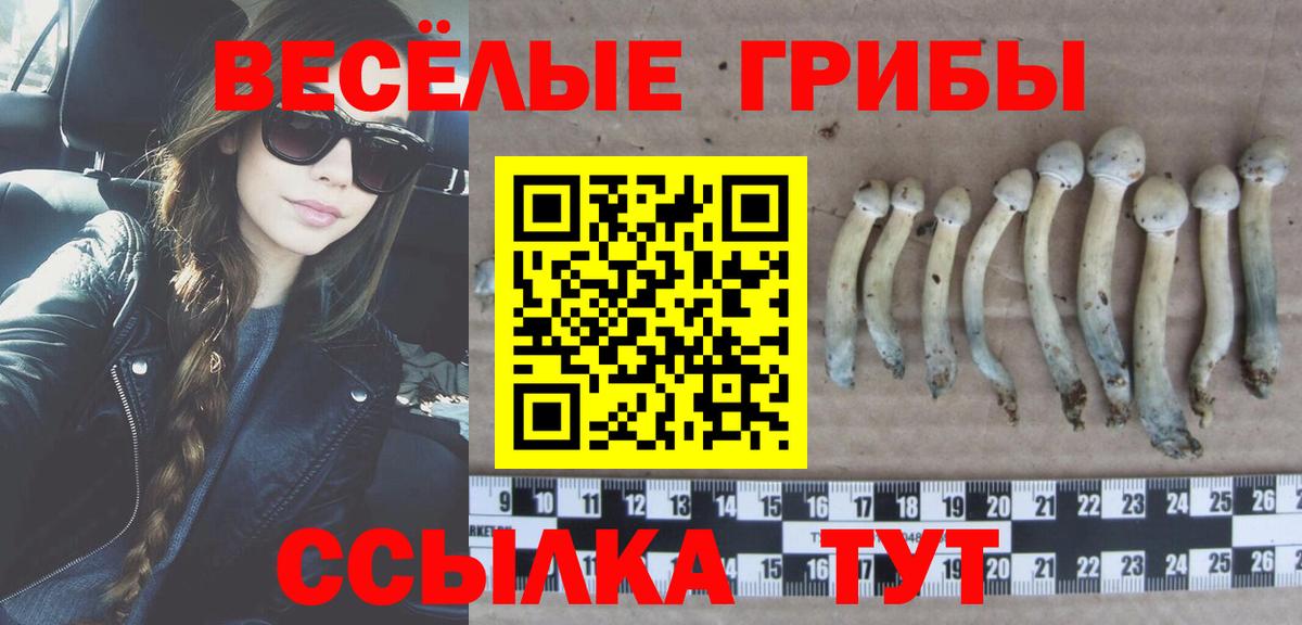 Псилоцибиновые грибы Magic Shrooms Златоуст