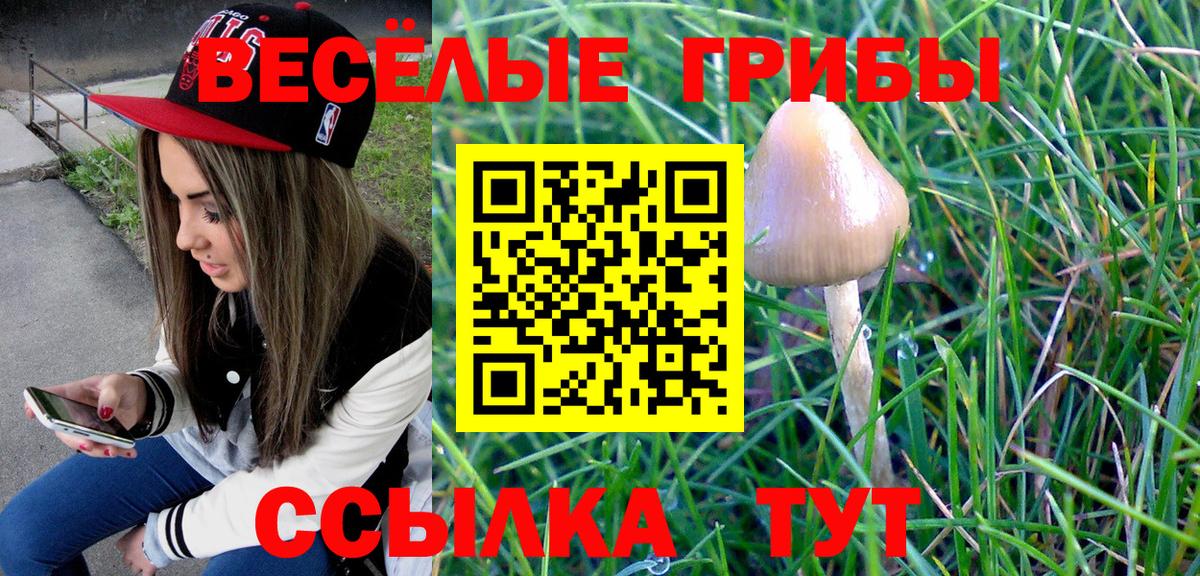 цена наркотик  Вход с VPN  Златоуст  Псилоцибиновые грибы Cubensis 